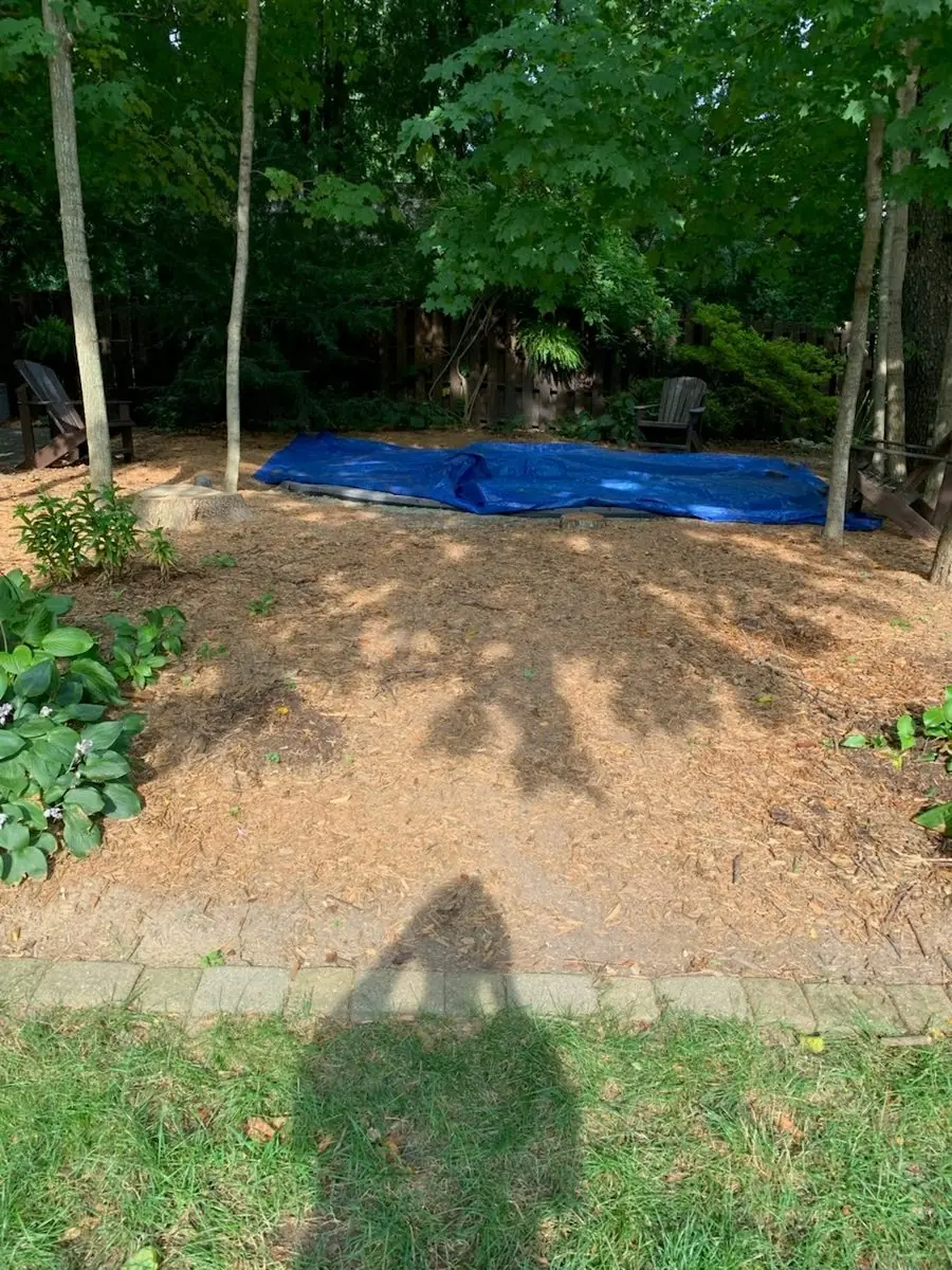 Same backyard bed after stump grinding — stumps gone, grindings blended into the mulch, hostas and pavers untouched