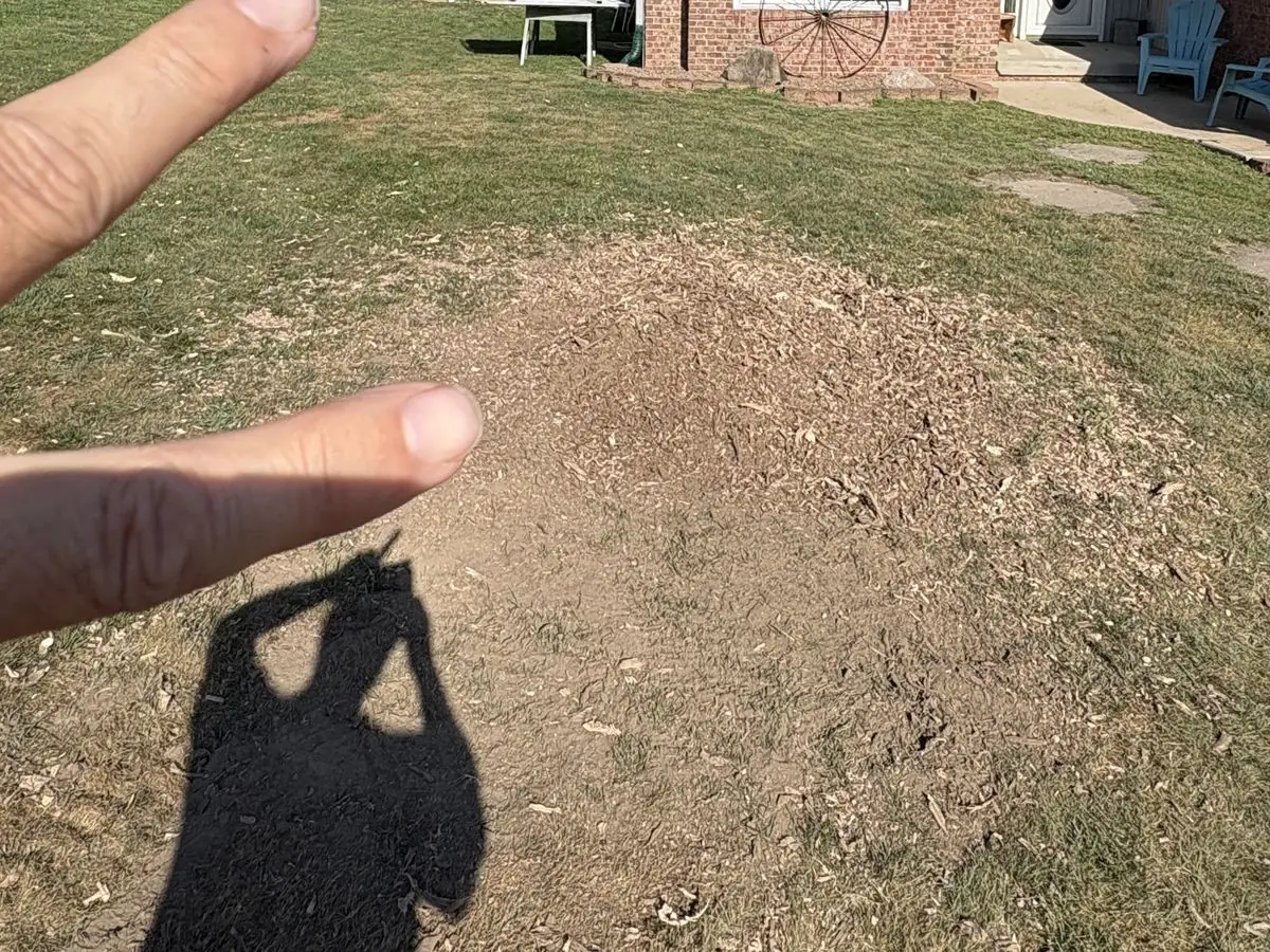 Same front lawn after stump grinding — stump replaced by a level bed of grindings in front of the brick home