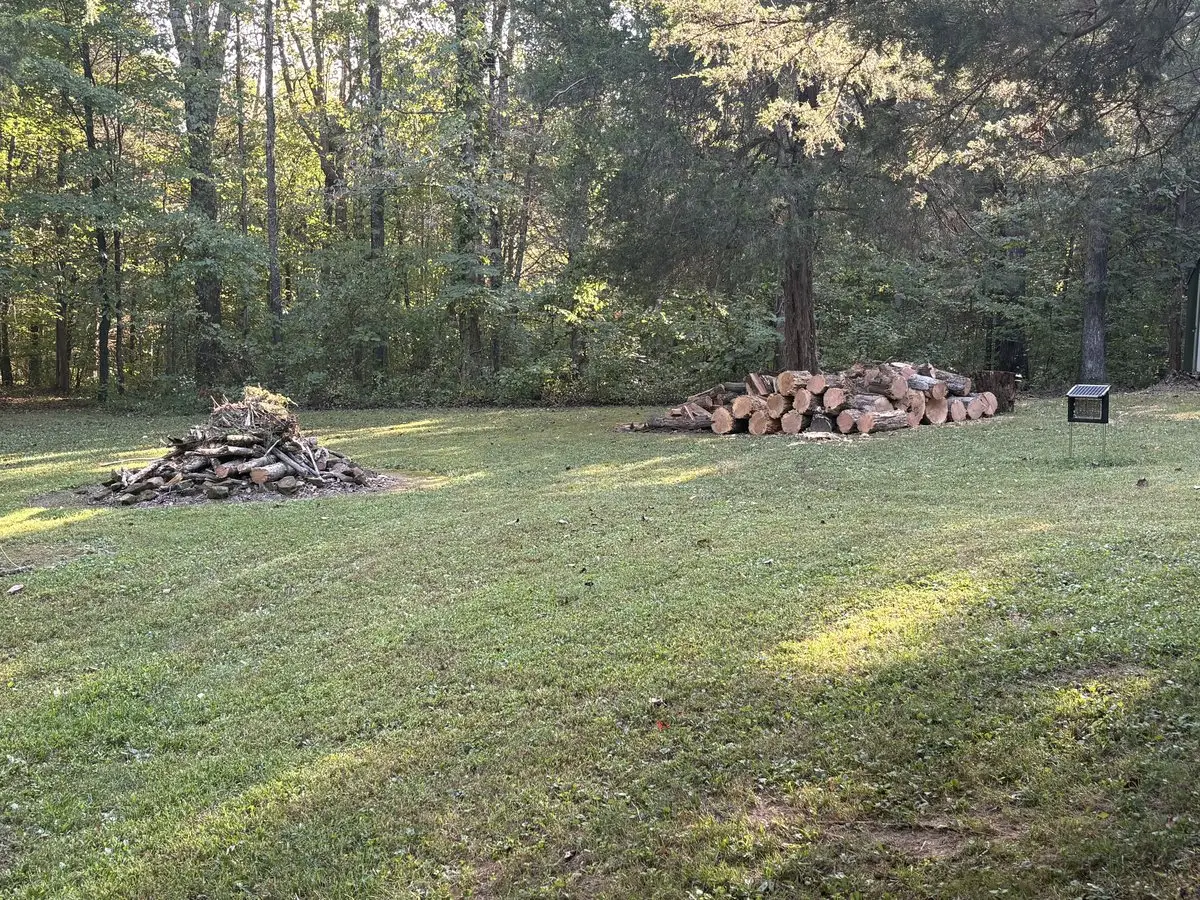 Cut logs stacked in a neat pile and loose branches piled in the burn pit at the back of the property after the tree removal in Freetown, Indiana