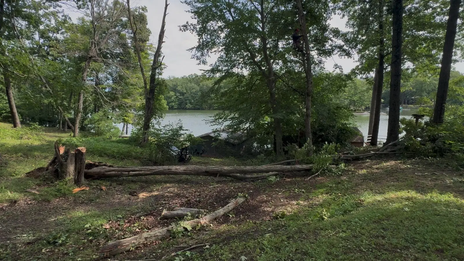Same lakeside property on Lake LaSalle in Brown County, Indiana with the storm-damaged tree safely down on the ground beside its stump