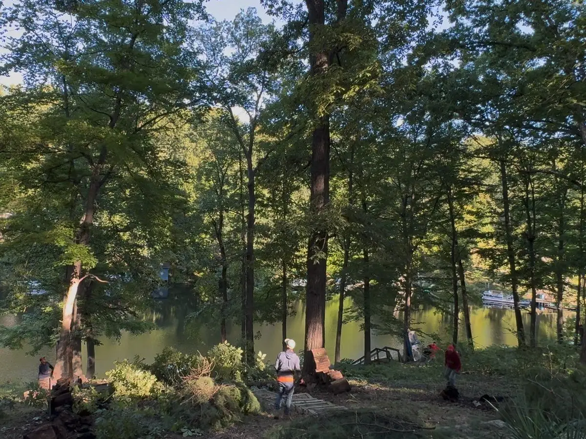 Crew starting a tree-thinning job on a thickly wooded lakeside lot in Prince's Lakes, Indiana with the lake mostly hidden behind the trees