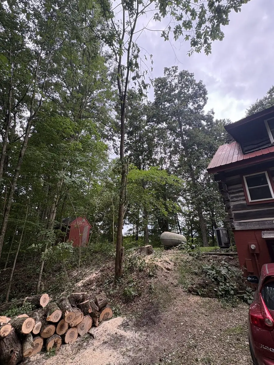 Same log home in Morgantown, Indiana after the tree removal — tree gone, stump cut low by the propane tank, and the wood stacked neatly for the homeowner