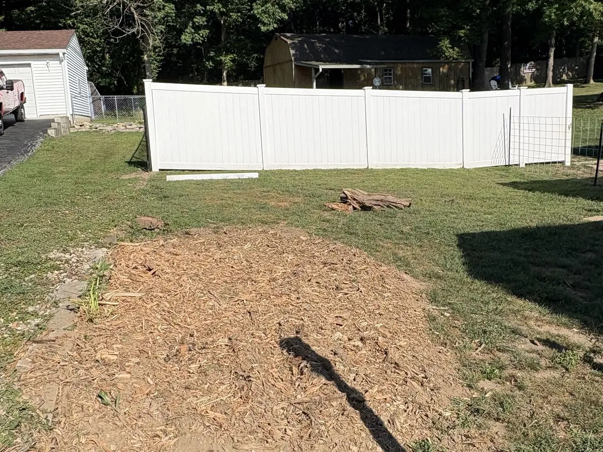 Same lawn after stump grinding — root ball gone, level bed of grindings beside the white vinyl fence