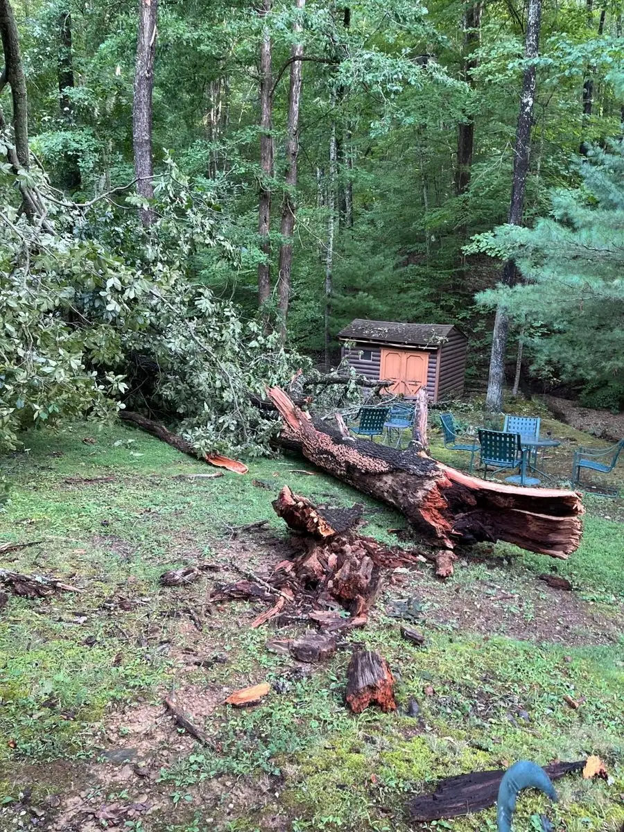 Tree snapped off at its rotted base by a storm in Helmsburg, Indiana, with the fallen trunk lying across the yard beside patio furniture and a shed