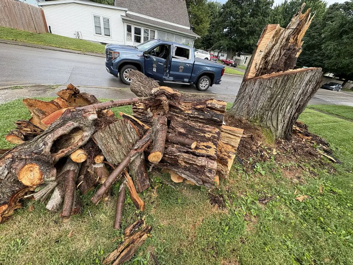 Storm-snapped tree trunk with a shattered stump and a pile of cut logs in a front yard before cleanup in South Central Indiana