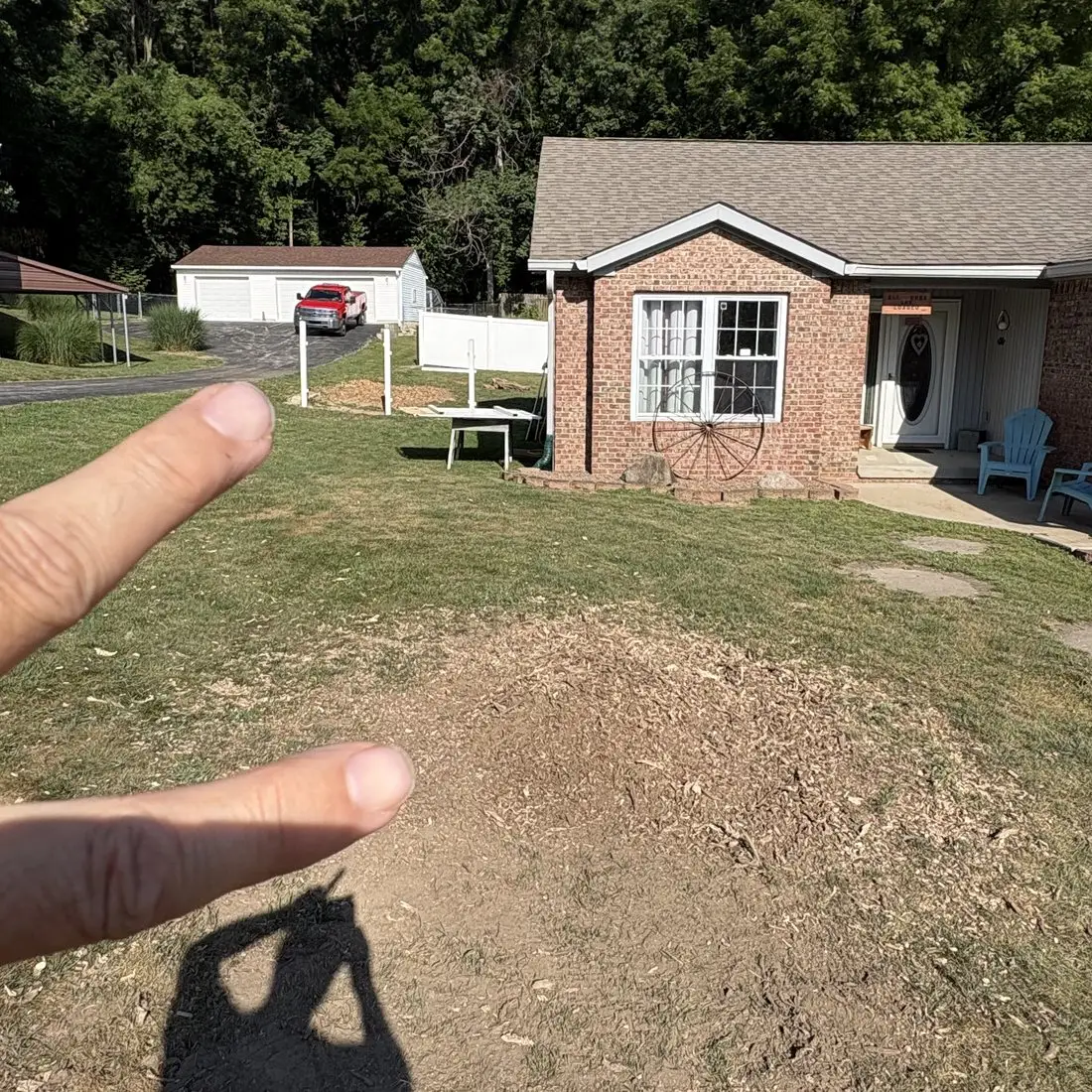 Same Martinsville, Indiana home after stump grinding — both stumps replaced by level beds of grindings, one in the front lawn and one in the yard behind