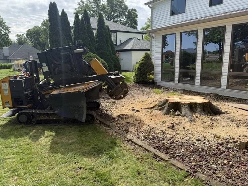 Stump grinder working a large stump beside a home in South Central Indiana