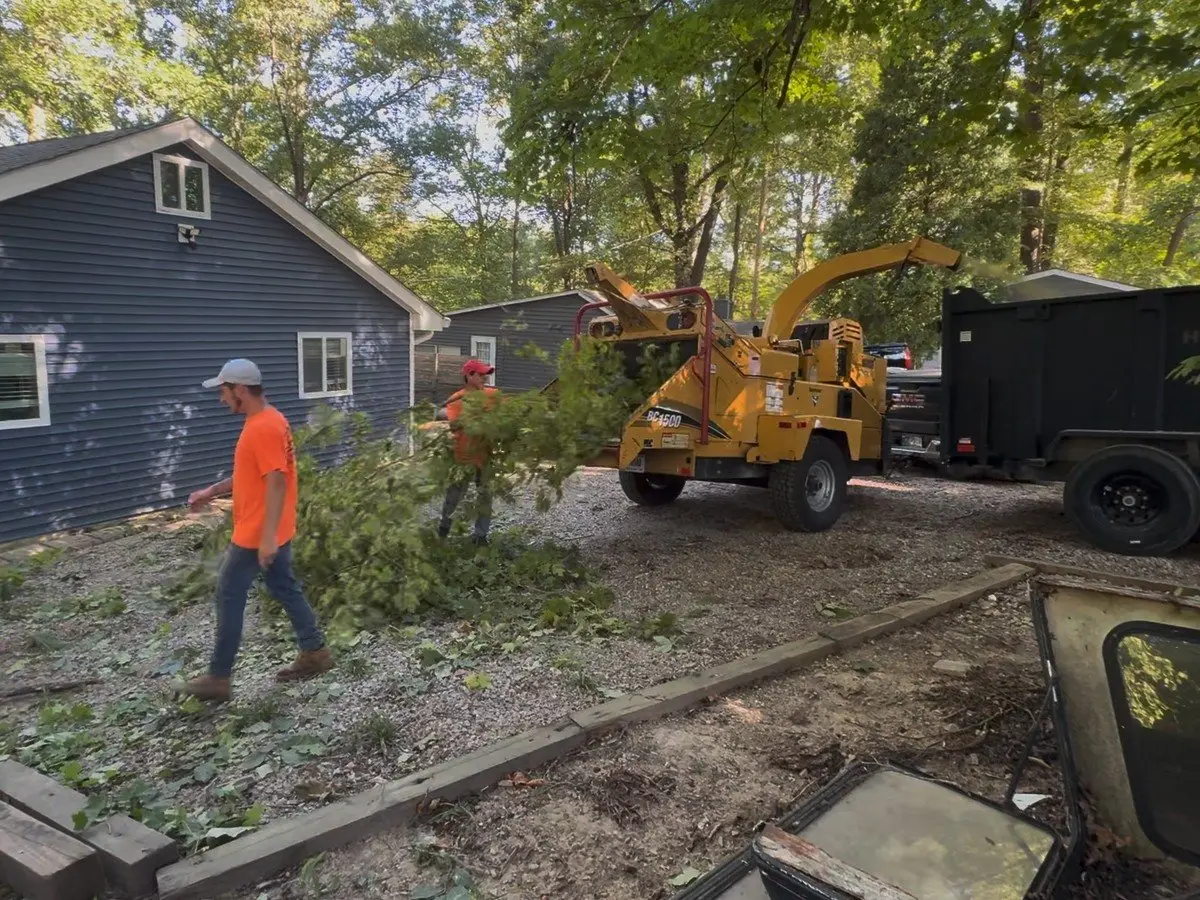 Crew feeding cut branches into the wood chipper beside the dump trailer during a tree removal cleanup at a home in South Central Indiana