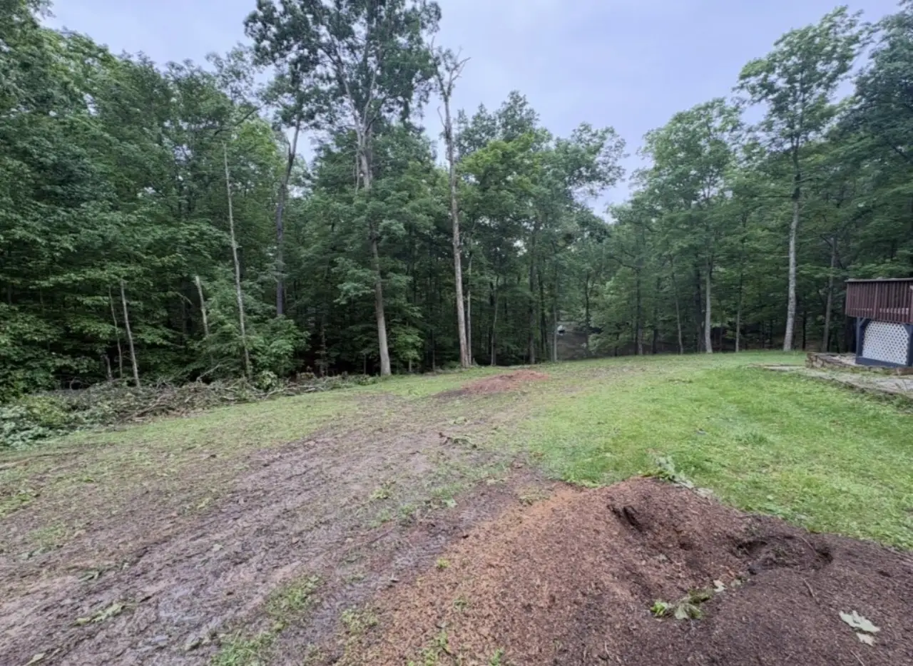 Brush and debris cleared from a yard in Brown County Indiana