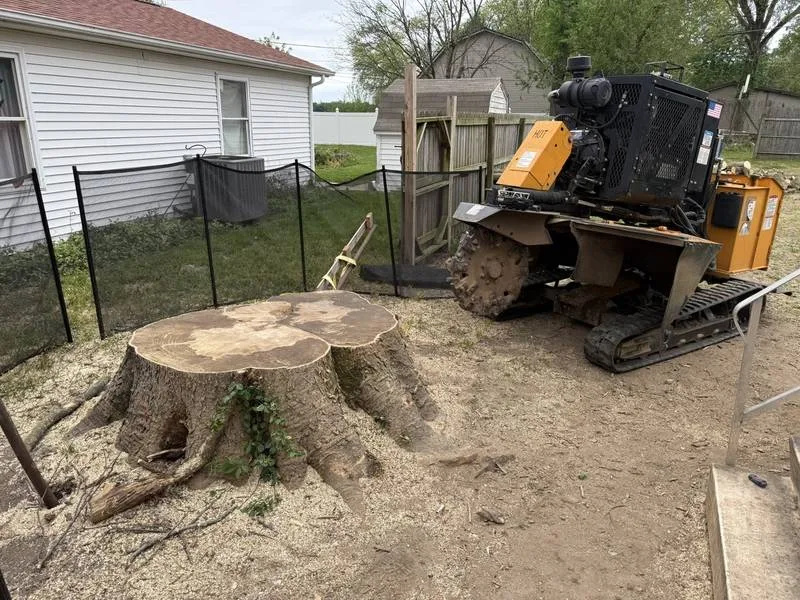 Compact tracked stump grinder working next to a fence in a backyard in South Central Indiana