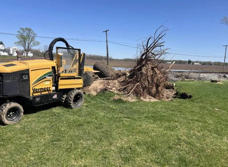 Large ride-on stump grinder beside a big stump and root mass in South Central Indiana