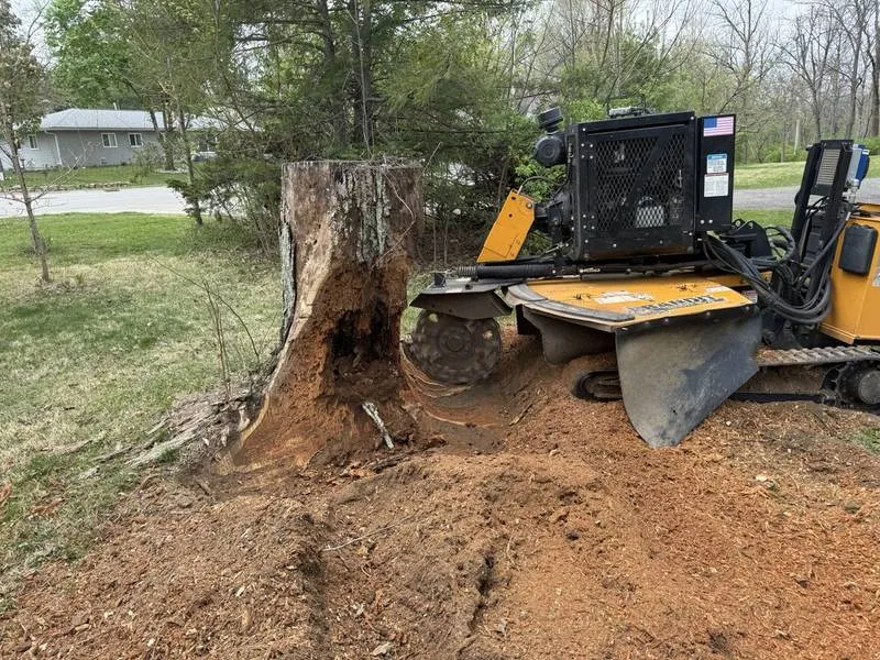 Stump grinder grinding a large tree stump below grade in South Central Indiana