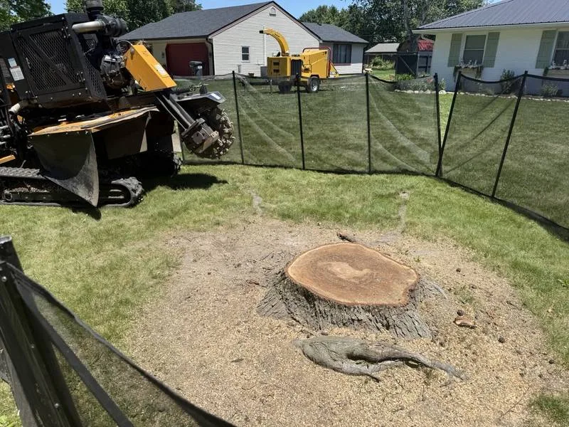 Stump grinder next to a large fresh-cut tree stump in a fenced yard in South Central Indiana