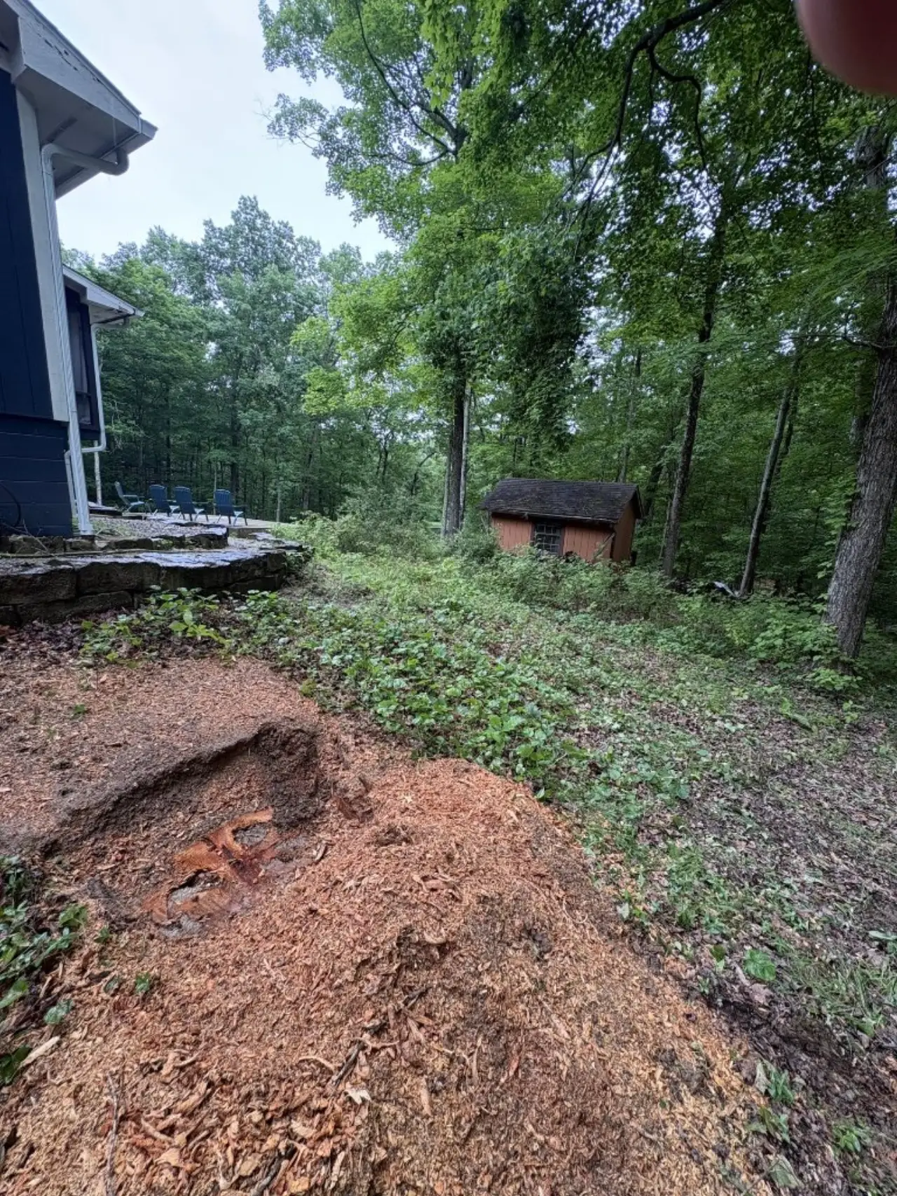 Close-up of fresh wood grindings after stump removal in Nashville, Indiana
