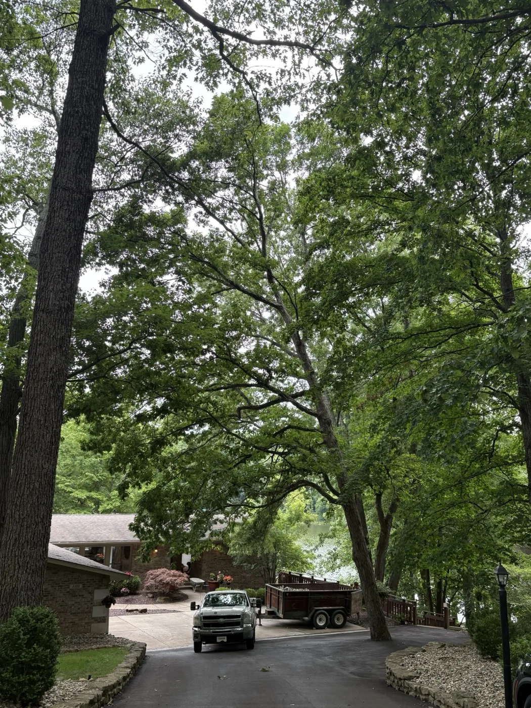 Large tree leaning precariously over a driveway and home before removal in Brown County, Indiana