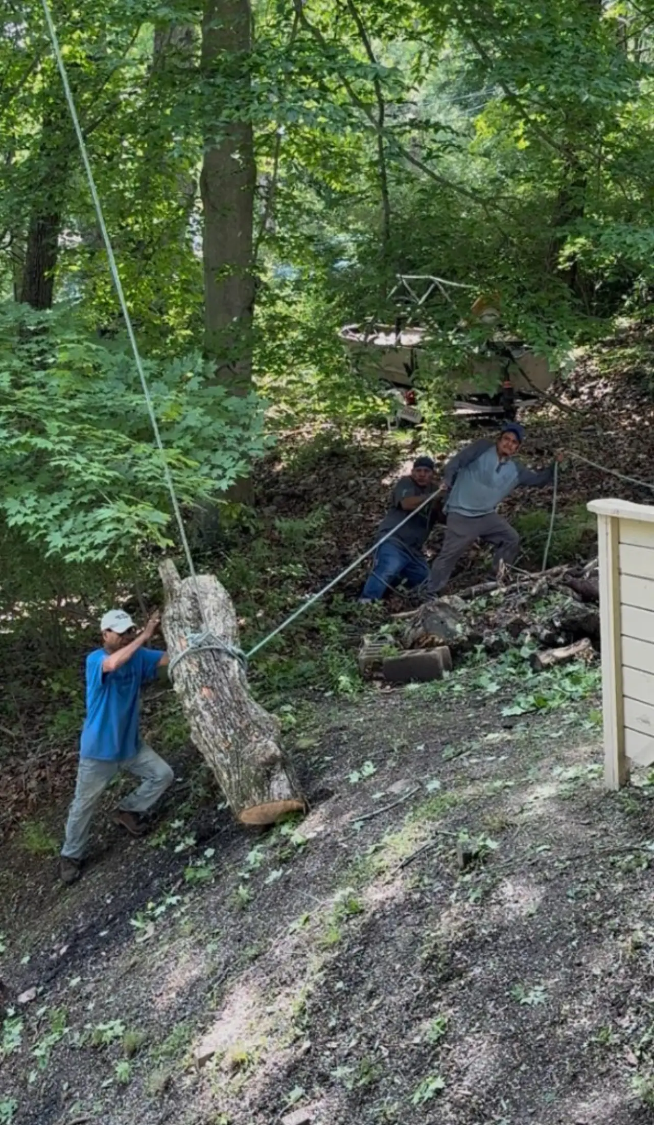 Stump grinding job site in Brown County, Indiana