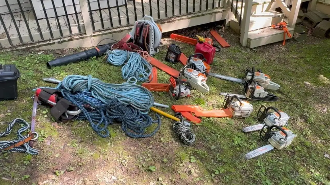 Cleared and cleaned yard after tree service in Brown County, Indiana