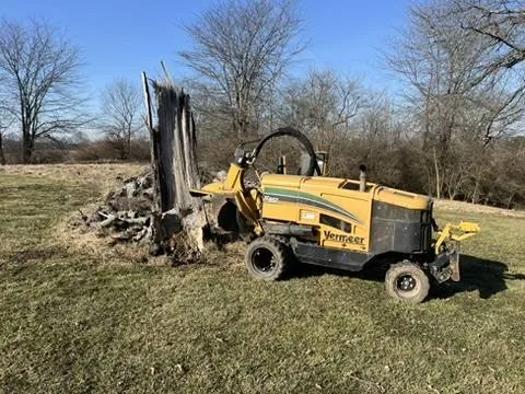 Large ride-on stump grinder removing a tall tree stump in South Central Indiana