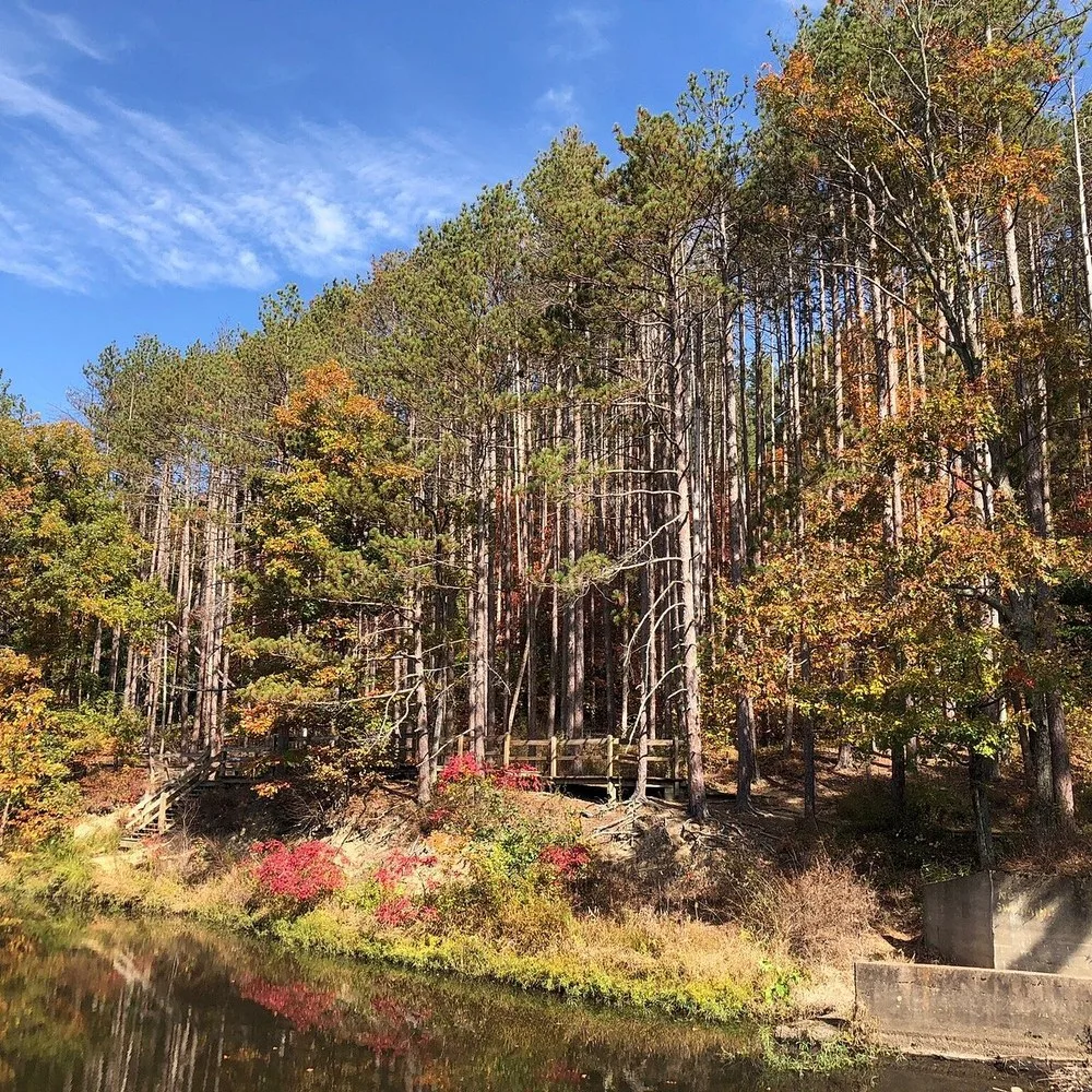 Fall color over the wooded hills and pines of Brown County, Indiana