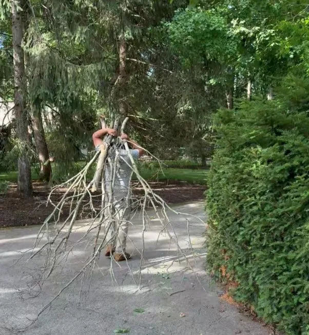 Crew member hauling away storm-downed brush and limbs during cleanup in Brown County, Indiana