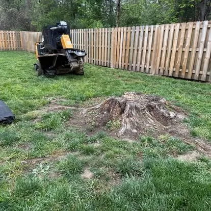 Stump grinder positioned next to a large backyard stump before grinding in South Central Indiana