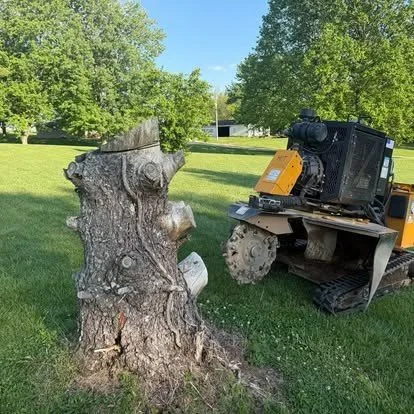 Stump grinder beside a tall character stump on a residential property in South Central Indiana