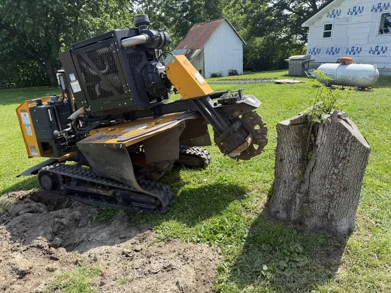 Close-up of a tracked stump grinder's cutting wheel on a job in South Central Indiana